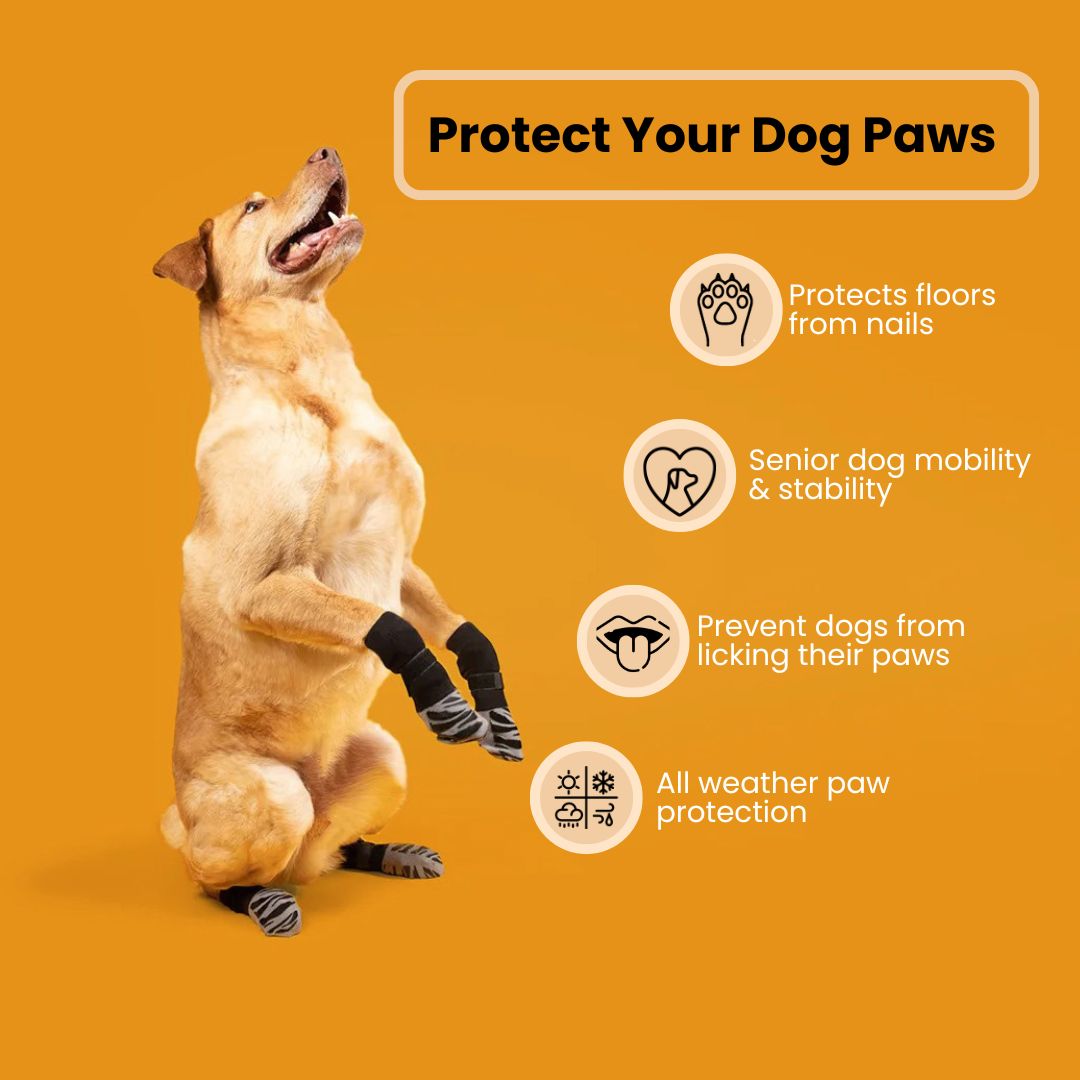 PawsMo Indoors Anti-Slip Grip Socks