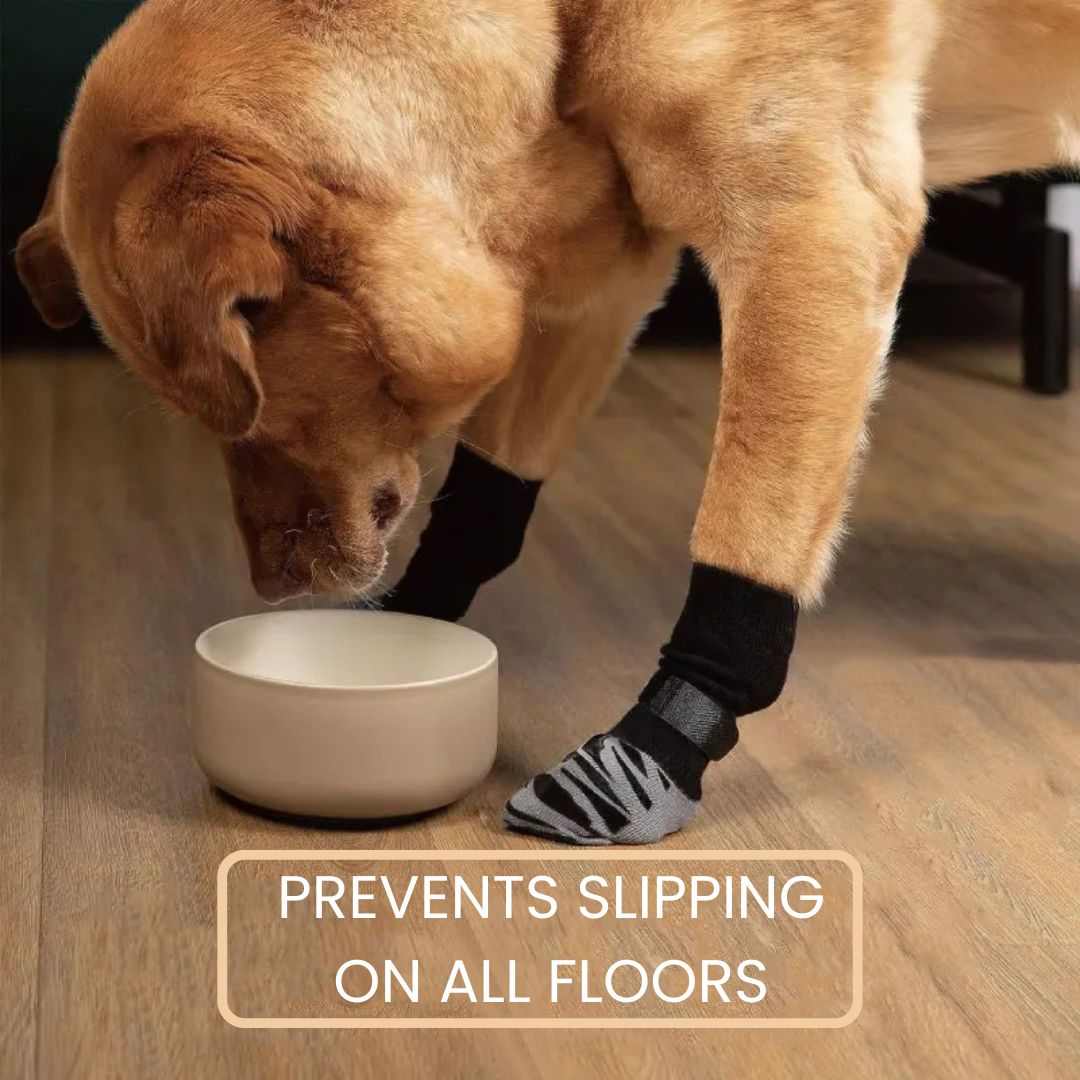 PawsMo Indoors Anti-Slip Grip Socks
