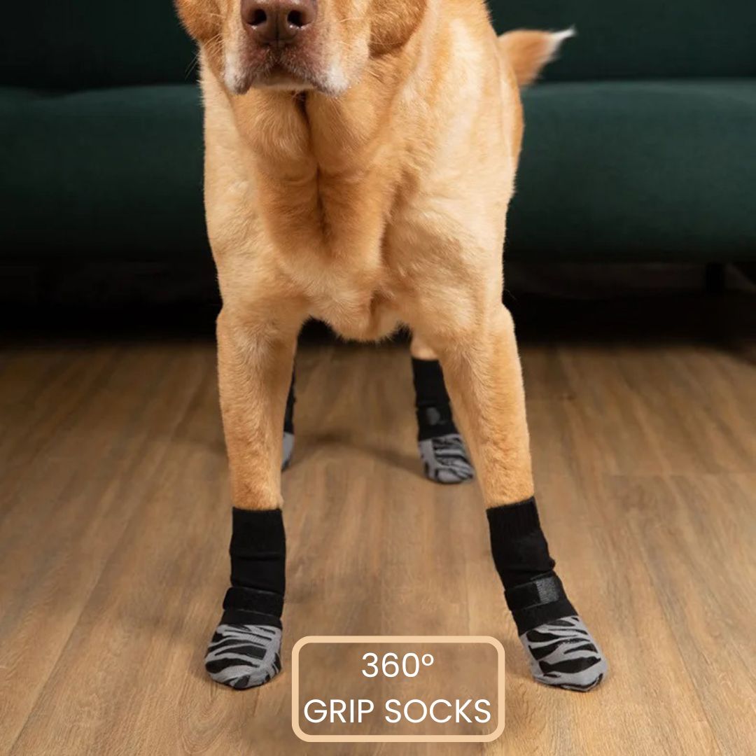 PawsMo Indoors Anti-Slip Grip Socks
