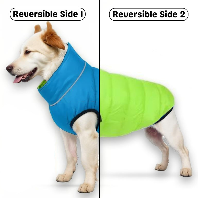 PawsMo Reversible Dog Jacket