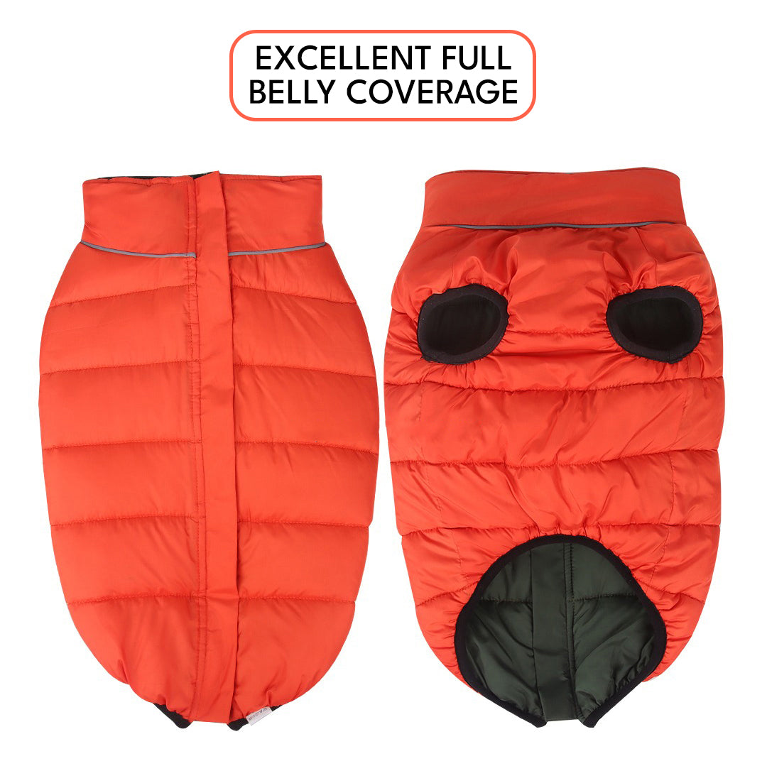 PawsMo Reversible Dog Jacket