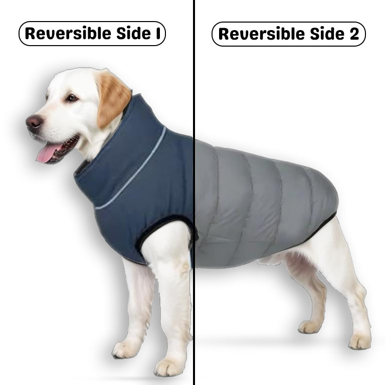 PawsMo Reversible Dog Jacket