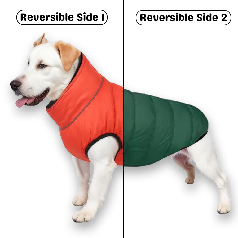 PawsMo Reversible Dog Jacket