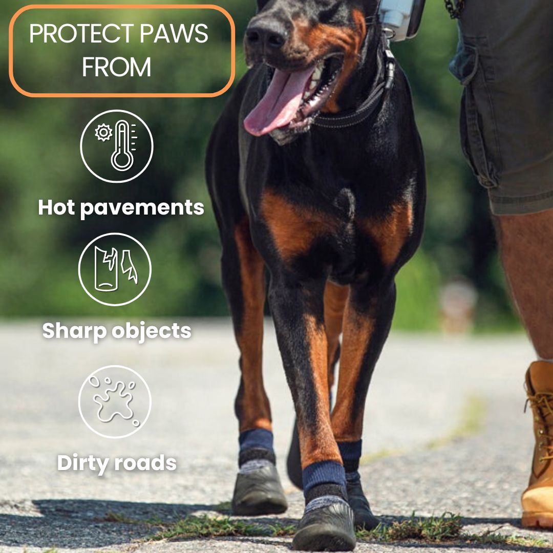 PawsMo Dog Shoes (Pack of 4 pcs)