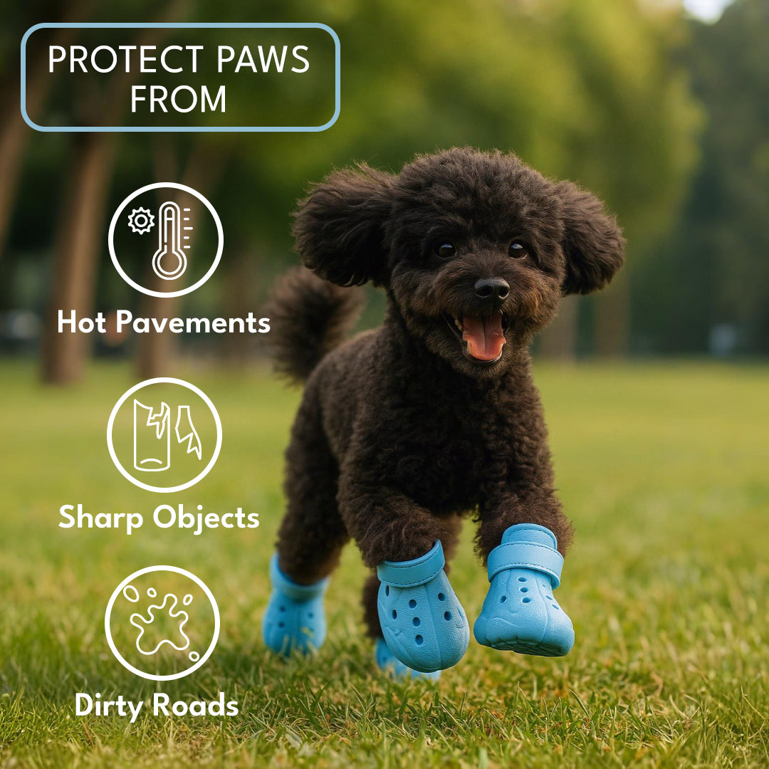 PawsMo Cloud Float Dog Shoes