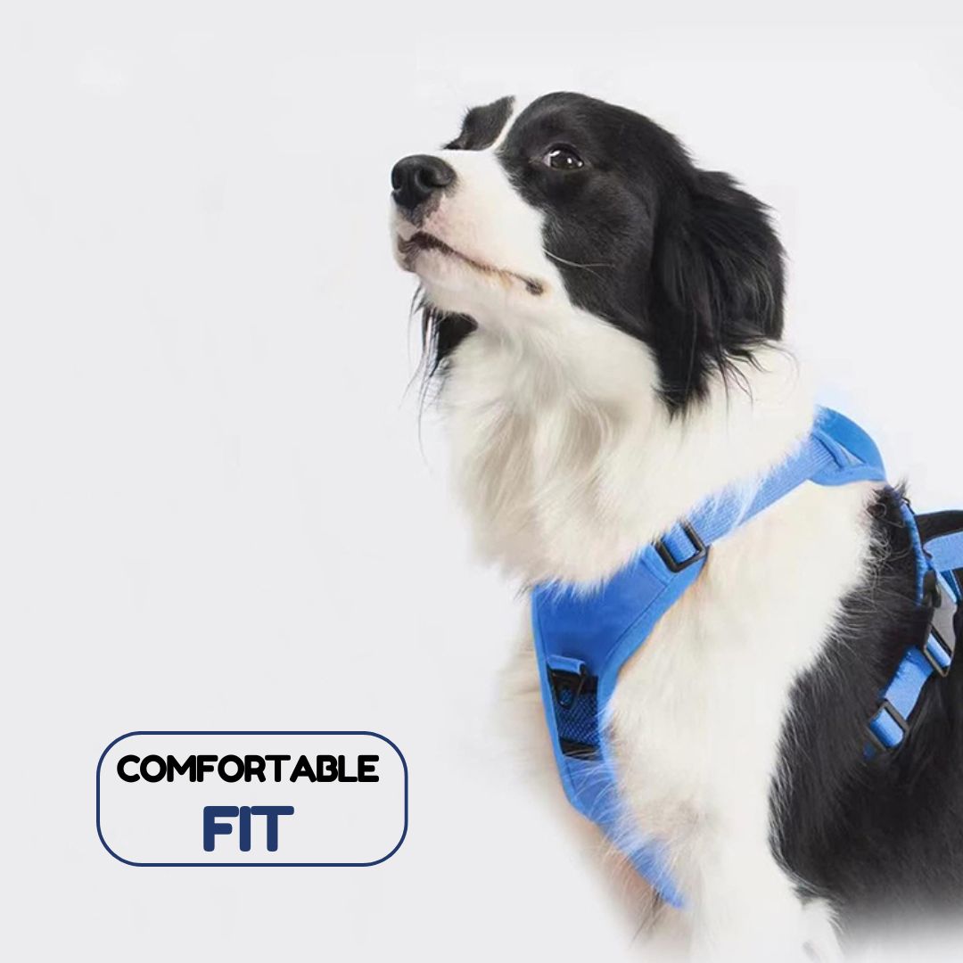 PawsMo Pet Harness with Built-in Retractable Leash