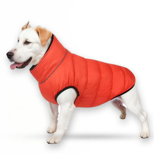 PawsMo Reversible Dog Jacket