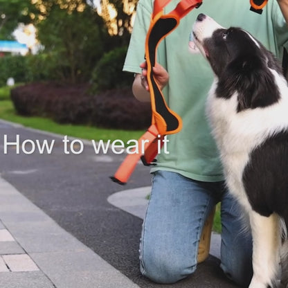 PawsMo Pet Harness with Built-in Retractable Leash